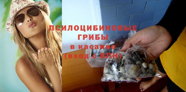 ПСИЛОЦИБИНОВЫЕ ГРИБЫ Заволжье
