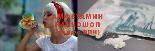 ПСИЛОЦИБИНОВЫЕ ГРИБЫ Заволжье