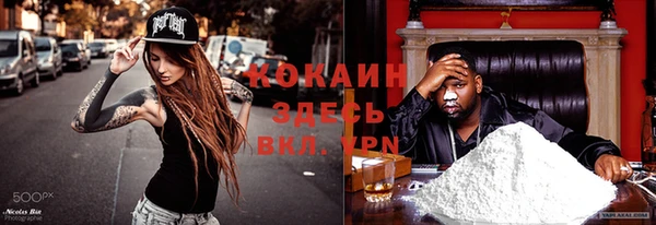 ПСИЛОЦИБИНОВЫЕ ГРИБЫ Заволжье