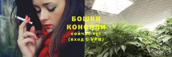 метадон Заводоуковск