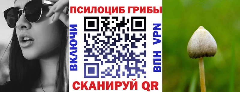 наркошоп  Красногорск  Галлюциногенные грибы Psilocybe 